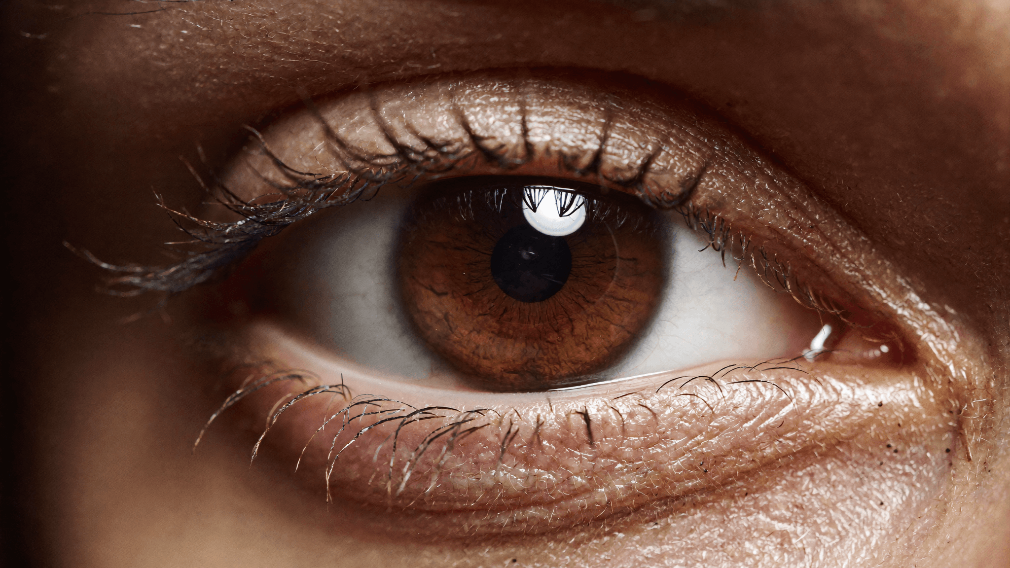 Nora eye macro